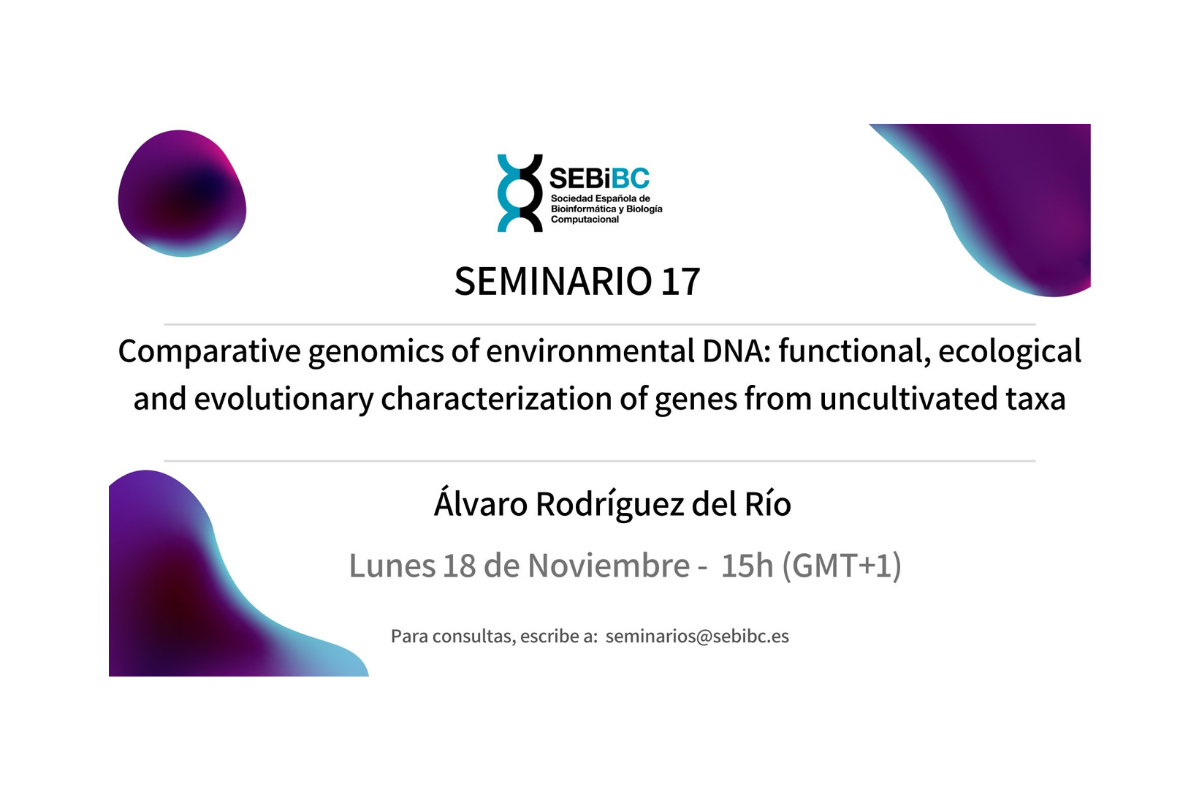 Seminario 17