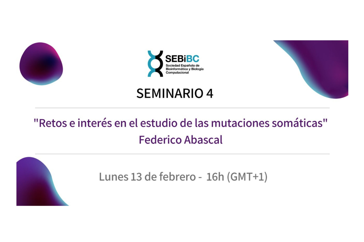 Seminario 4